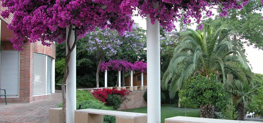 Jardin style mediterraneo color verde, azul, rosa  diseñado por JJ Delgado. Arquitectura | Arquitecto | Copyright Propietario