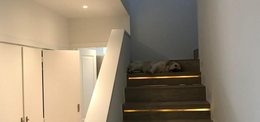 diseñado por Emir | Reformista, constructor 