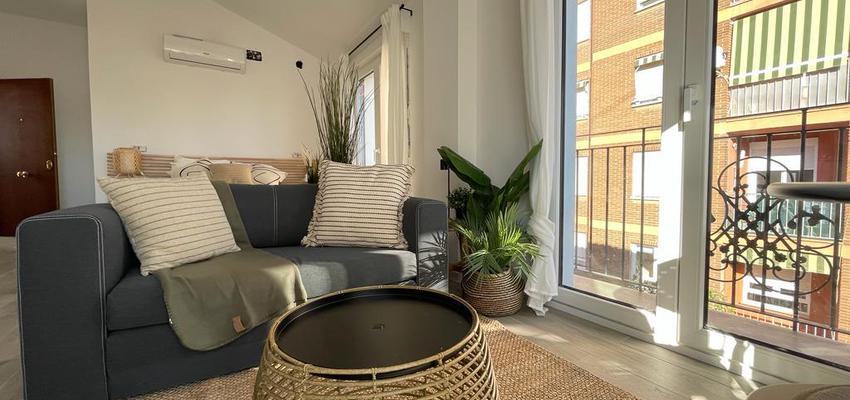 diseñado por Sara Lascarov | Reformista, constructor 