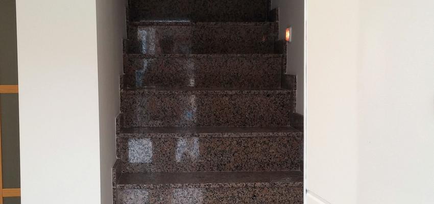 Escalera Estilo contemporaneo Color amarillo, marron  diseñado por Carlos Soto Martinez | Arquitecto | Copyright Projuka