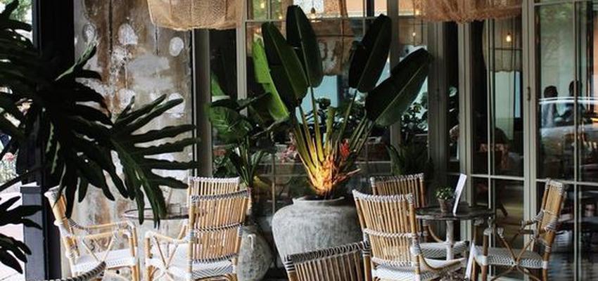 Cafeteria Estilo tropical Color verde  diseñado por Víctor J. García I INTERIORISMO | Interiorista | Copyright Pinterest