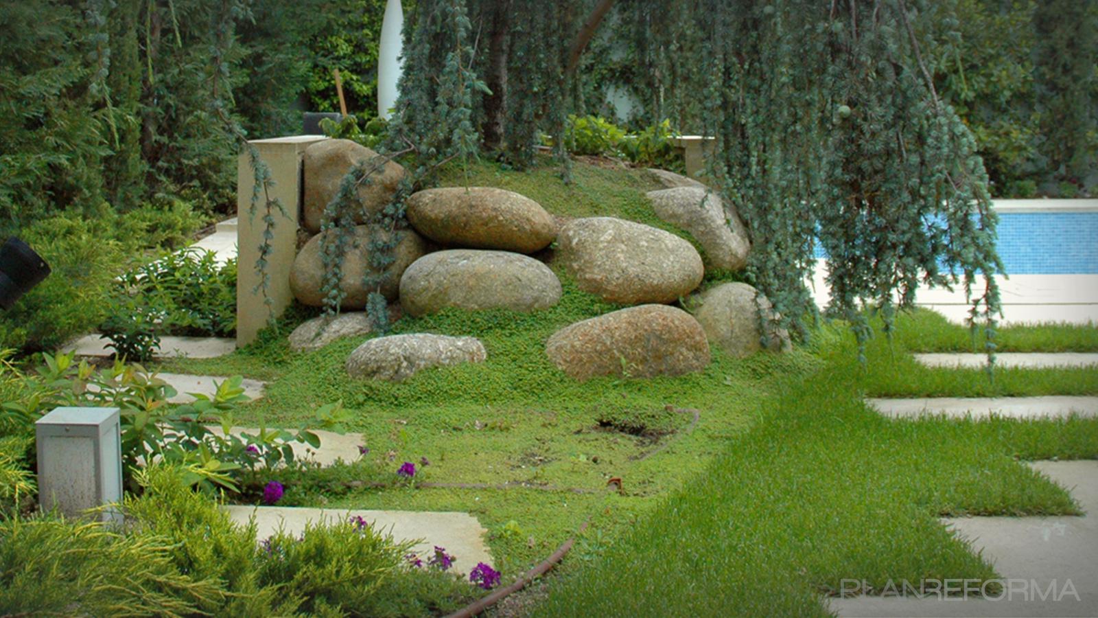 Jardin Estilo moderno Color verde