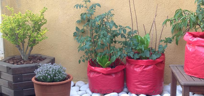 Terraza Estilo mediterraneo Color rojo, marron, verde  diseñado por Lucius & Cornelia - Interiors Saludables i Eficients | Interiorista | Copyright Imagen propiedad de Lucius & Cornelia - Prohibida su copia y/o reproducción