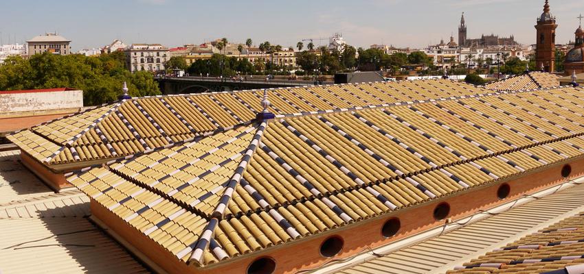 Tienda, Restaurante, Cafeteria Estilo contemporaneo Color verde  diseñado por ACTIVE Arquitectos | Arquitecto | Copyright ACTIVE Arquitectos