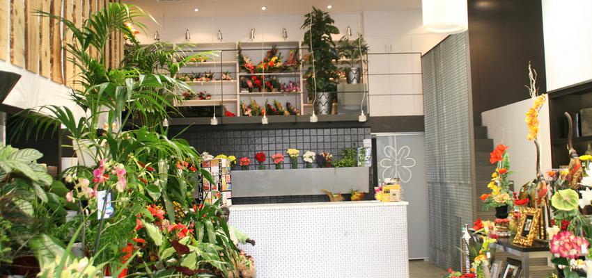 Escalera, Tienda, Jardin style moderno color ocre, verde, gris  diseñado por Esther Hervás | Arquitecto 