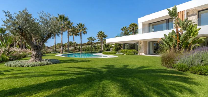 diseñado por Calpe | Paisajista 