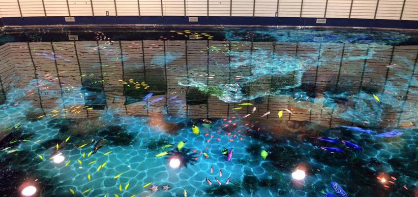 Cafeteria Estilo contemporaneo Color azul, negro, plateado  diseñado por Tú pavimento | Gremio 