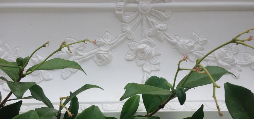 Comedor, Restaurante, Hotel Estilo vintage Color rojo, azul, blanco  diseñado por Miriam Arnaiz | Gremio | Copyright Escayolas Arnaiz