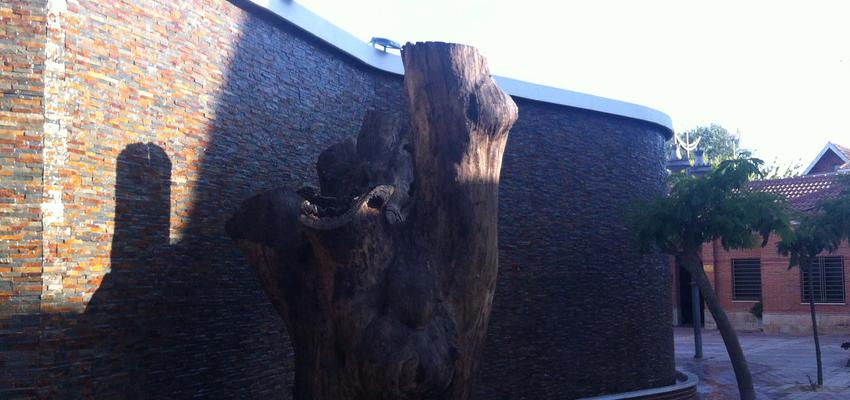 Exterior, Jardin style contemporaneo color marron, marron, gris  diseñado por ferreras ubierna arquitectura | Arquitecto 