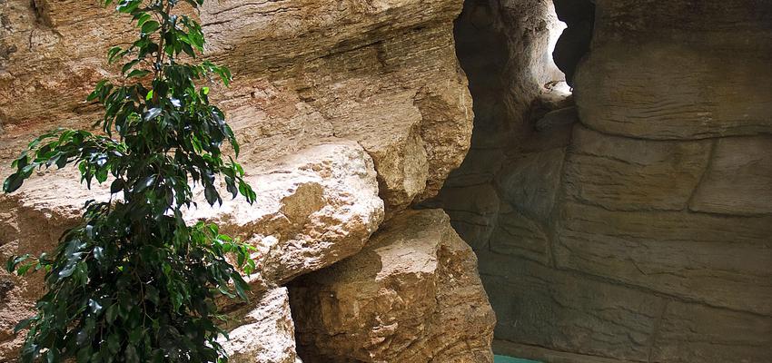 Piscina, Hotel, SPA Estilo contemporaneo Color azul cielo, beige, beige, blanco  diseñado por estudioitales | Decorador 