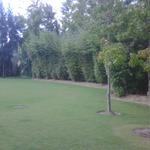 Exterior, Jardin style contemporaneo color verde