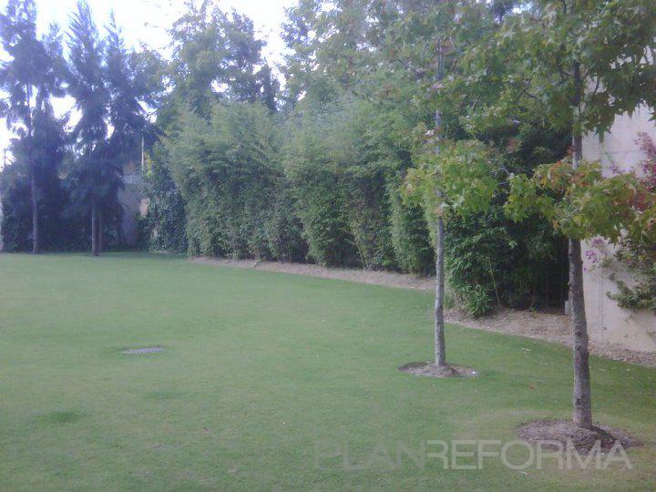 Exterior, Jardin style contemporaneo color verde  diseñado por Fernando | Paisajista 