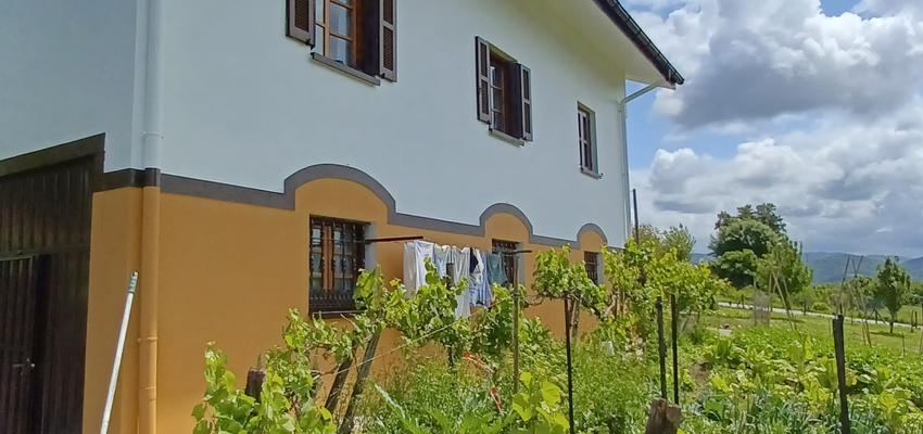 Exterior Estilo clasico Color marron oscuro, blanco, dorado  diseñado por Midas Reformas - Osvaldo S. Heredia | Reformista, constructor | Copyright Restauración de fachada