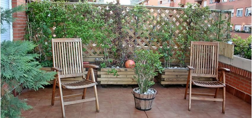 Patio, Exterior, Jardin Estilo rustico Color bronce  diseñado por ROCIO ANGELICA TORRADO ANTONIO | Arquitecto | Copyright -