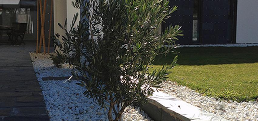 Porche, Exterior, Jardin Estilo moderno Color verde, negro, plateado  diseñado por Javier Obregón | Interiorista 