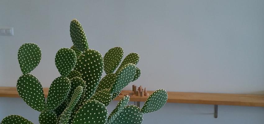 Loft Estilo contemporaneo Color marron, verde, beige, blanco  diseñado por Studiotransparente | Interiorista | Copyright si