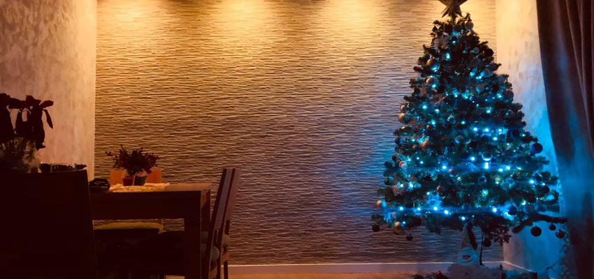 Comedor, Salon Estilo moderno Color marron, bronce  diseñado por TÈCTUM REFORMES | Gremio | Copyright TÈCTUM REFORMES