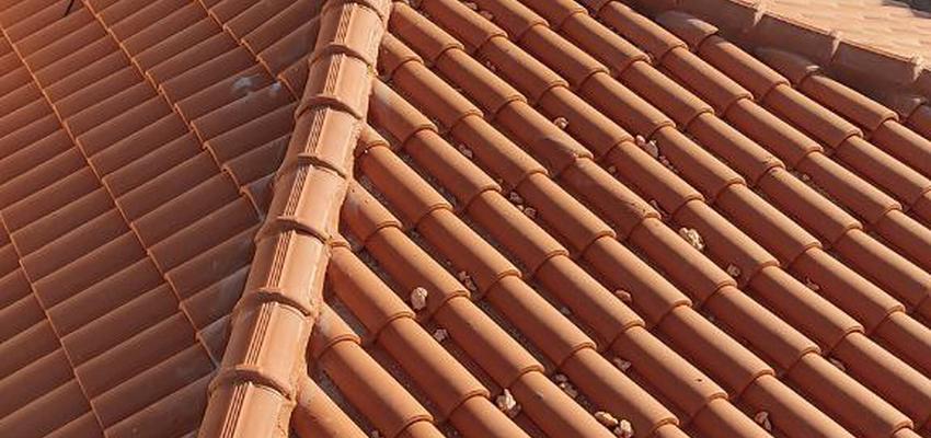 Terraza, Exterior Estilo clasico Color marron, azul oscuro, beige  diseñado por Tecnotechos Reformas y Pinturas | Reformista, constructor 