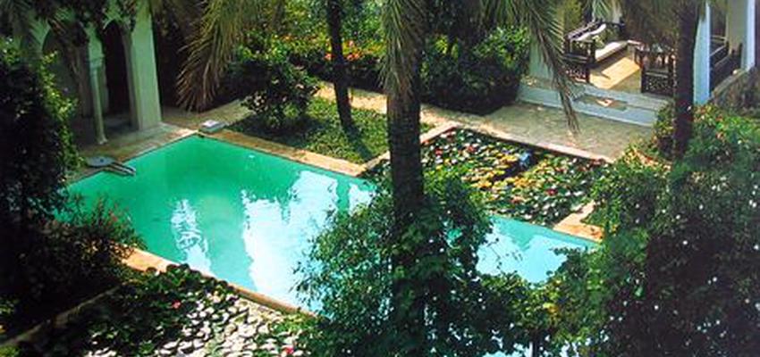 Terraza, Piscina, Porche style tropical color verde, azul cielo, marron  diseñado por Alfredo Melo Ayala | Arquitecto 