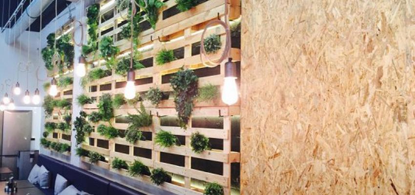 Restaurante, Cafeteria Estilo moderno Color violeta, beige, negro  diseñado por PINTAESTETIC S.L. | Gremio | Copyright Pintaestetic