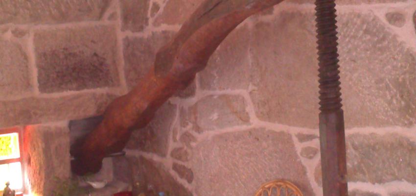 Comedor, Cocina Estilo rustico Color amarillo  diseñado por Constructora REy | Gremio | Copyright Constructora REy