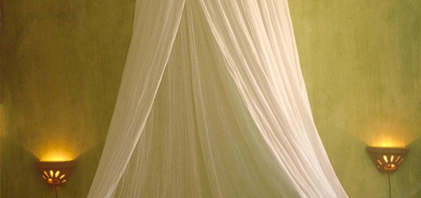 Hotel style tropical color verde, marron, blanco  diseñado por AM arquitectura+diseño | Arquitecto | Copyright El mosaico del sol