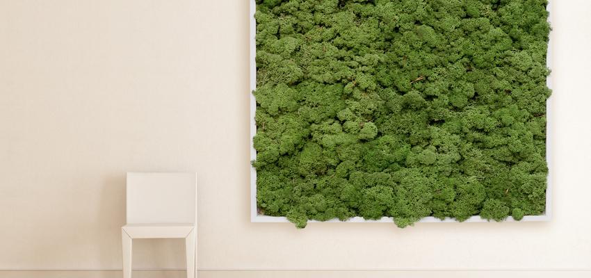 Comedor style vanguardista color verde  diseñado por Landscapers | Paisajista | Copyright Propiedad de Landscapers. La imagen no puede ser reproducida en ningún medio por ningún método sin previo consentimiento.