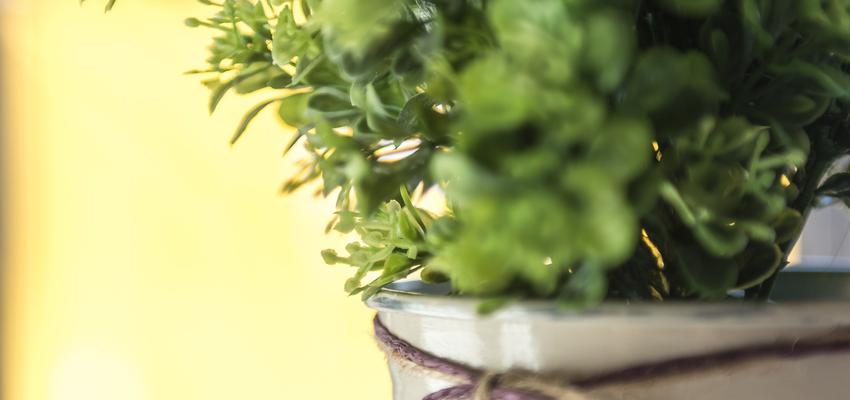 Cocina Estilo contemporaneo Color marron, verde, gris  diseñado por Reformas by Batua | Interiorista | Copyright Design by Batua Interiores Creativos (www.batua.es) | Photo: Mercè Gost Photo (www.mercegostphoto.com)