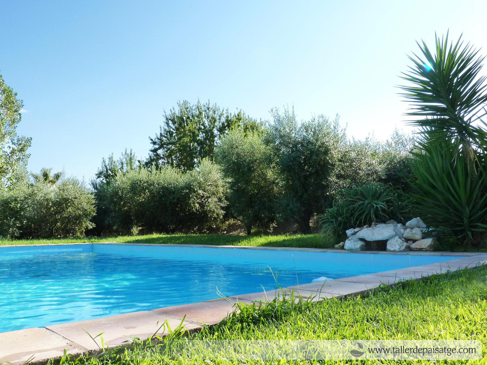 Piscina, Exterior, Jardin style mediterraneo color verde, azul cielo, marron, blanco  diseñado por Eva Vidal Mateu - Taller de Paisatge | Paisajista 