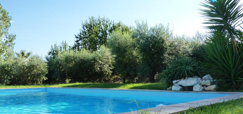 Piscina, Exterior, Jardin style mediterraneo color verde, azul cielo, marron  diseñado por Eva Vidal Mateu - Taller de Paisatge | Paisajista 