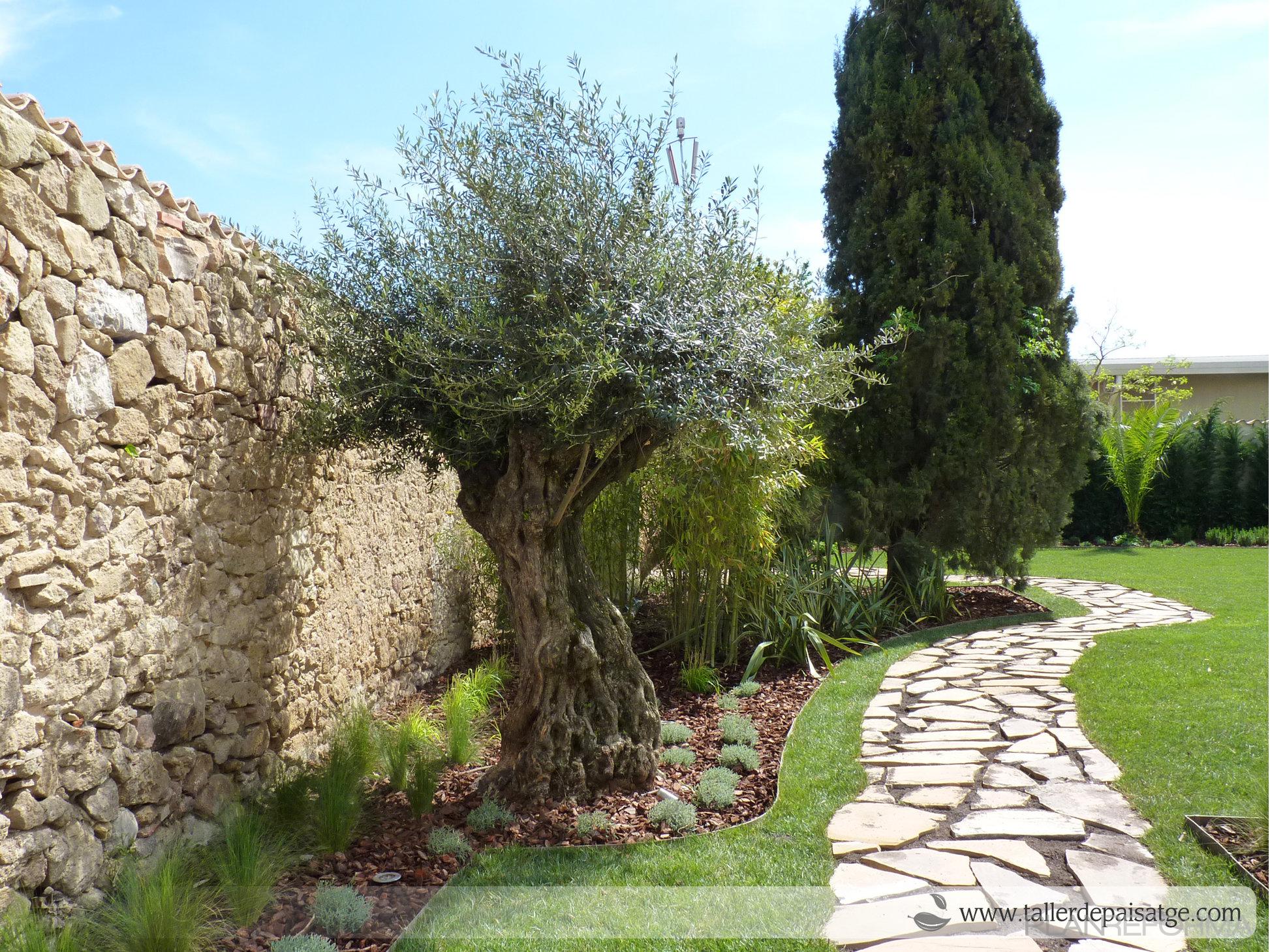 Jardin style rustico color verde, beige, marron, blanco  diseñado por Eva Vidal Mateu - Taller de Paisatge | Paisajista 