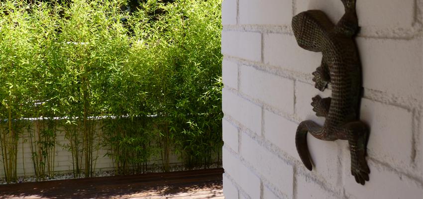 Exterior style contemporaneo color marron, blanco  diseñado por Eva Vidal Mateu - Taller de Paisatge | Paisajista 