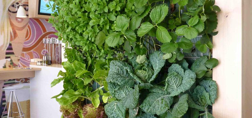 Restaurante, Cafeteria style moderno color marron, blanco  diseñado por Eva Vidal Mateu - Taller de Paisatge | Paisajista 