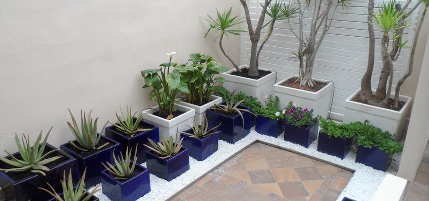 Exterior, Jardin style contemporaneo color verde, azul oscuro, blanco  diseñado por Jardines Creativos by Ernesto Monzó | Ingeniero 