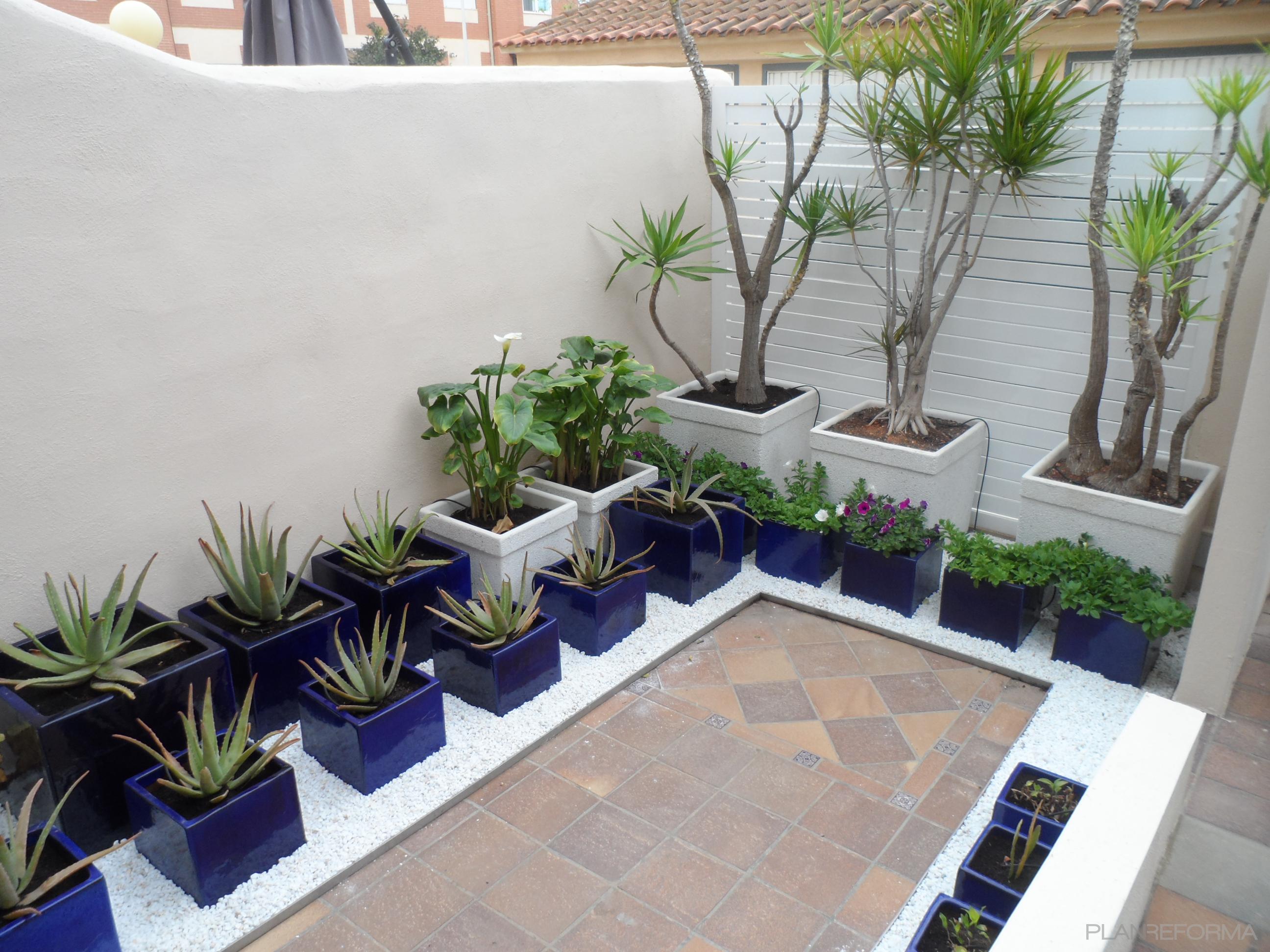 Exterior, Jardin style contemporaneo color verde, azul oscuro, blanco  diseñado por Jardines Creativos by Ernesto Monzó | Ingeniero 