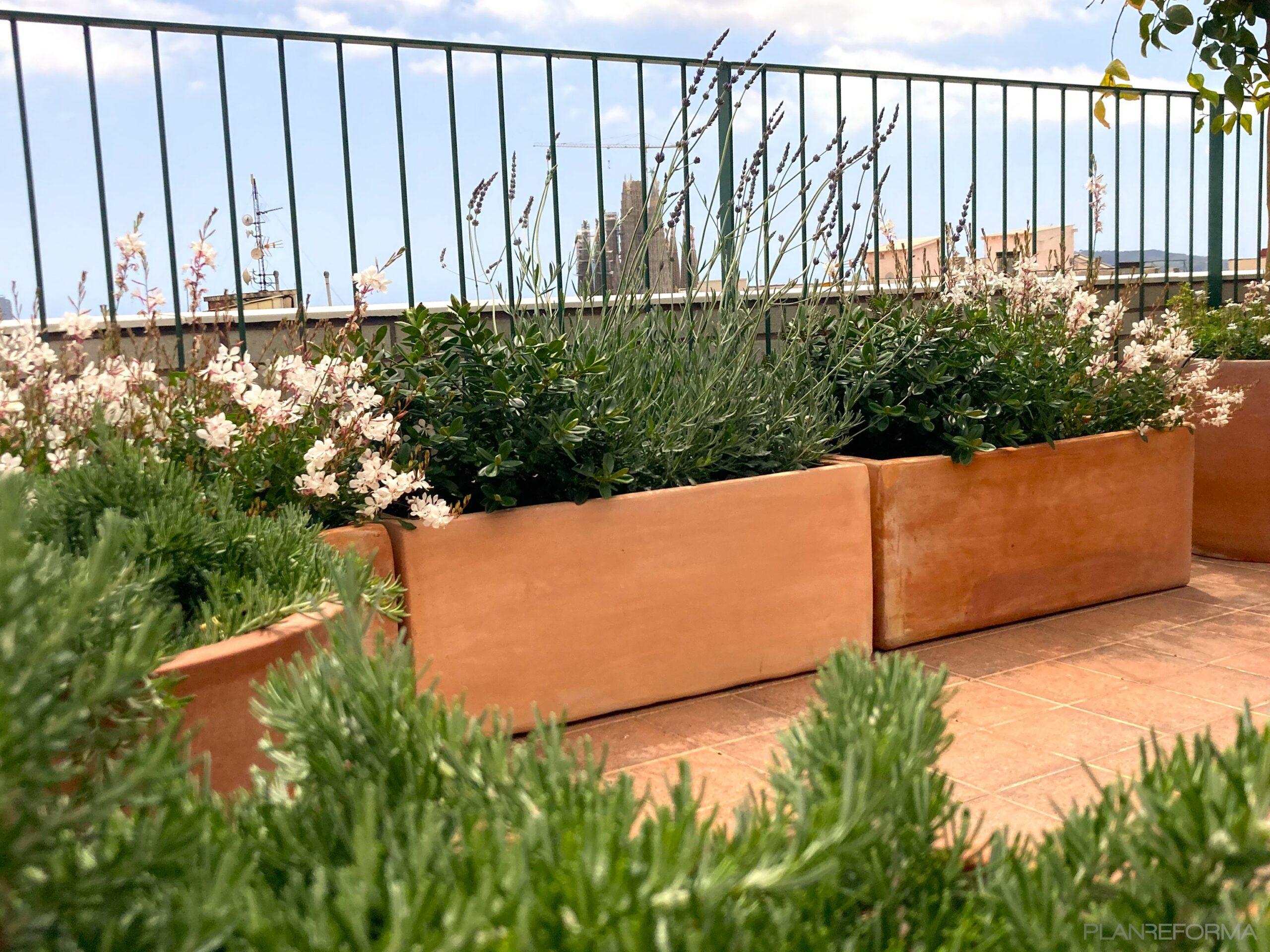Terraza, Balcon, Exterior Estilo mediterraneo Color naranja, verde claro, verde  diseñado por De Buena Planta | Paisajista | Copyright © De Buena Planta