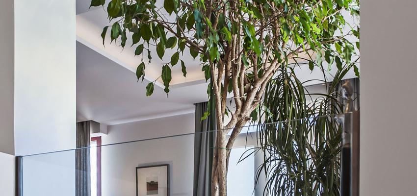 Comedor, Salon, Escalera Estilo contemporaneo Color verde, blanco  diseñado por Arrevol arquitectura | Arquitecto 