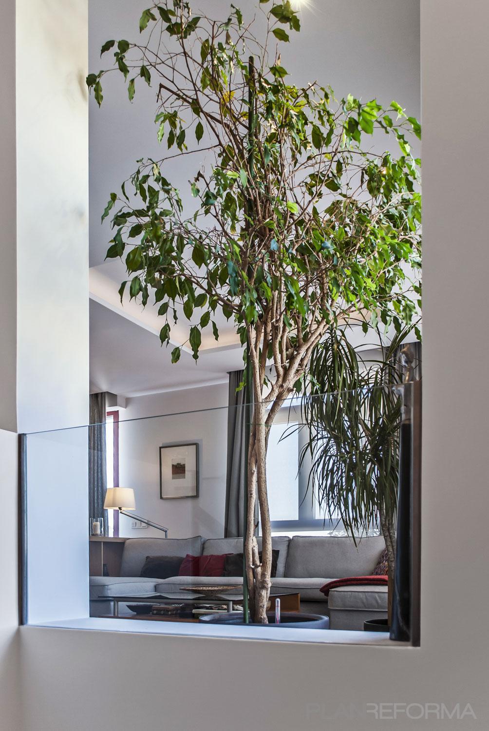 Comedor, Salon, Escalera Estilo contemporaneo Color verde, blanco  diseñado por Arrevol arquitectura | Arquitecto 