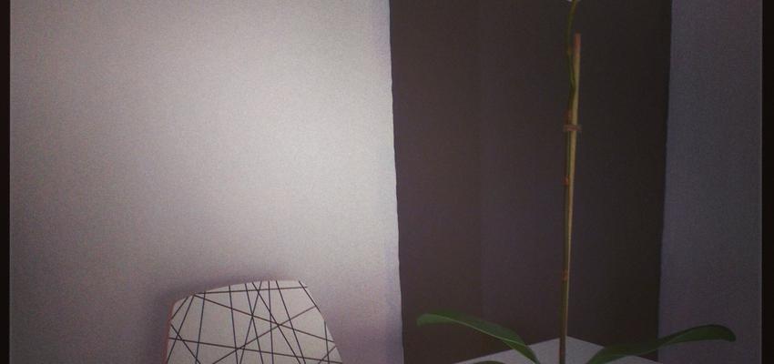 Comedor style moderno color verde, beige, marron  diseñado por Blanca Gutiérrez | Interiorista 