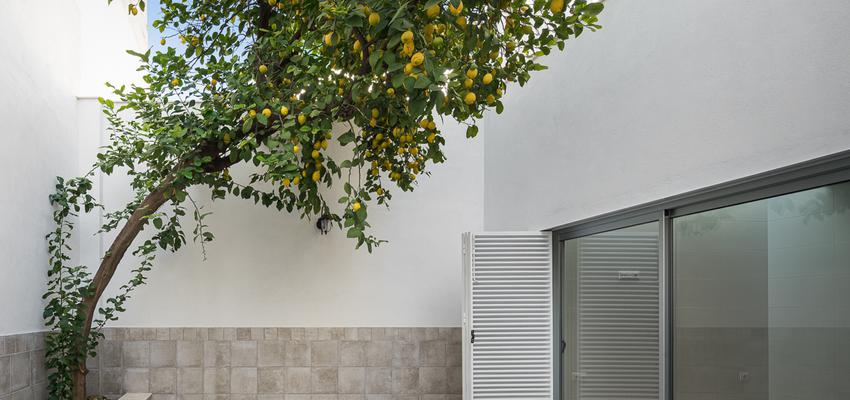 Terraza, Patio, Exterior Estilo contemporaneo Color gris, gris, plateado  diseñado por REONDO | Arquitecto | Copyright REONDO ESTUDIO